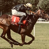 Ben Halsall (@brhals) 's Twitter Profile