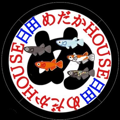 めだかHOUSE日田
改良めだか 成魚 卵 販売

#めだかHOUSE日田
#めだかHOUSE
#メダカ販売
#めだか販売
#めだか格安
#メダカ養殖
#めだか飼育
#medakahousehita
#相互フォロー
#メダカ
#めだか
#medaka
#改良メダカ
#大分県
#大分県日田市
#日田市 #日田