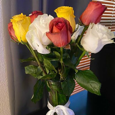 StellaWils51956's profile picture. 