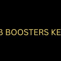 Job Boosters Kenya(@Jobboosters254) 's Twitter Profileg