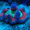 Tony Hatch - @t1hatch - Twitter