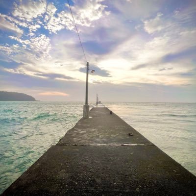 mie8796's profile picture. 成人済 五七/杉尾/勇尾/雑伊/土井尊