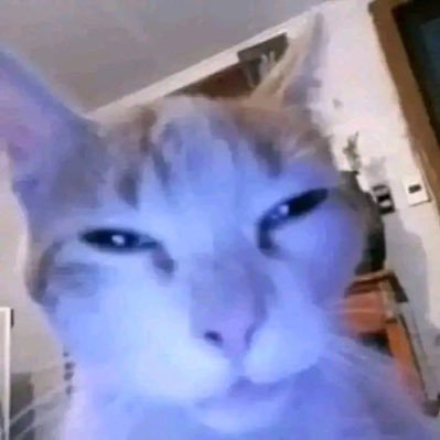 DicaIsOffline's profile picture. 0 social skill ;-;