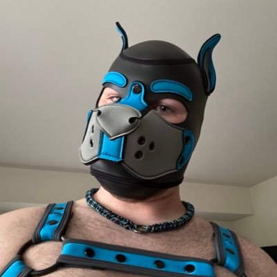 Young Pup (25) from North-East Ohio. Figuring out life with one paw in front of the other! ❤️ @Strikerpup | 18+ only | b-sky is https://t.co/bYBGFXKVcu |