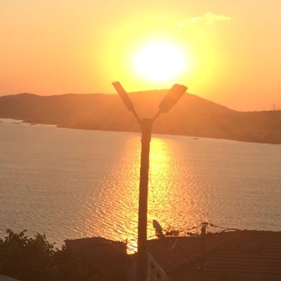 GDvtgl's profile picture. 