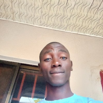 Technical Engineer. Political science student from well recognize institution (UDUSOK) Leave in Arkilla lowcast