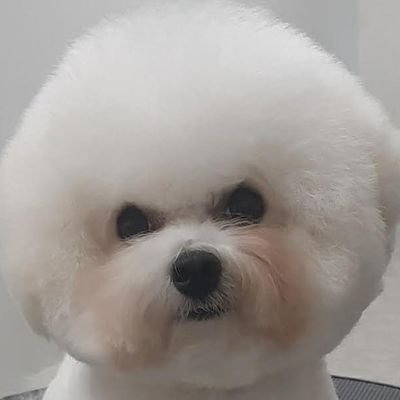 40代独身で彼氏なし、二匹のワンコ(黒と白)と自由気ままに暮らしています😃🐶
食べる事とお酒呑むこと、あとk-popも大好きです✨
節約しながら、いかに快適に楽しく一人暮らしできるか考えて生活しています😊
よかったらフォローしてください🙇