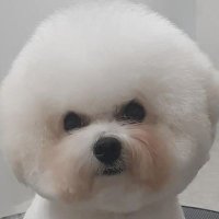 黒と白と私 (@kuro_siro_me) Twitter profile photo