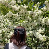 すもも(最強) (@mey_fami_usa25) Twitter profile photo