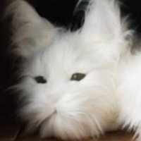 コウミユキ (@_kohsuisui) 's Twitter Profile