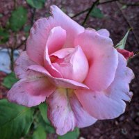 LonG 4 Change (@long_for_change) 's Twitter Profile