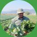 Start Farming Now (@startfarmingnow) Twitter profile photo