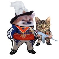 Cpt. Whiskers 🇸🇰 (@storedval) 's Twitter Profile