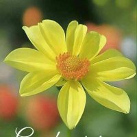 Sailaks36887136 (@sailaks36887136) 's Twitter Profile