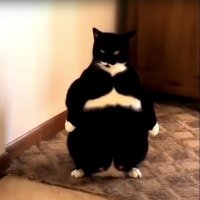 faulty (@2faulty) 's Twitter Profile