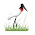 Neotropical Grassland Conservancy (@cons_grassland) Twitter profile photo Neotropical Grassland Conservancy (@cons_grassland) Twitter profile photo