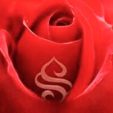 ❌DM❌ Evlį💍
@yenirthesabim1
Dış güzellik ilk sözü
İç güzellik ise
Son sözü söyletir!...