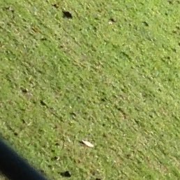 Q3RKyFieR7SkXBC's profile picture. よろしくお願い申し上げます。