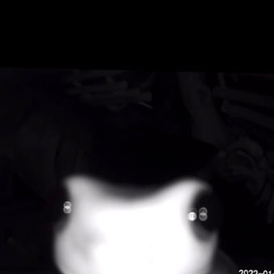 emoph0bic's profile picture. grim🖤 26. they/she |