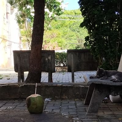 umadosedepitu1's profile picture. 