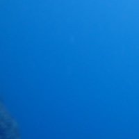 しゅう (@syuuuuuu0139) 's Twitter Profile