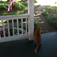 Susan Rob (@susanrob15) 's Twitter Profile