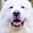 kyabe_hg_bn_mus