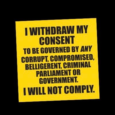 baldmartinnnn's profile picture. 