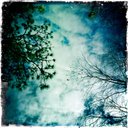 Kristin Burrows - @BokehGirl - Twitter