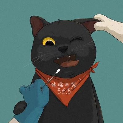 qing_liu4319's profile picture. 