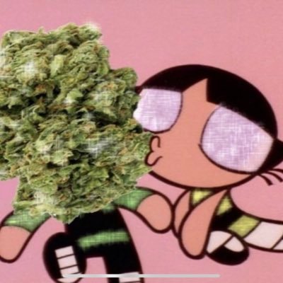 ok_duh's profile picture. eat my shorts