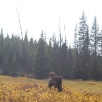 Vinne Pokornowski (@vpokornowski) 's Twitter Profile