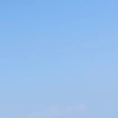 gncbon's profile picture. 