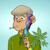 Mike D (@miked_sol) 's Twitter Profile