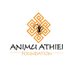Animu Athiei Foundation (@animuathieifdn) Twitter profile photo Animu Athiei Foundation (@animuathieifdn) Twitter profile photo