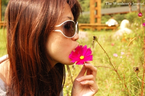 christinetj's profile picture. Enjoying the ride of wandering life. Always stranded in foreign country. A euphoric full-time Mom of one. Part-time blogger and everything else.