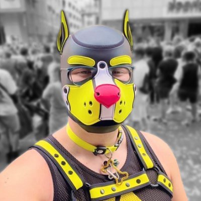 🐾🏳️‍🌈💛 Hi! I’m Wrex! (he/him) Twitch Affiliate, musician & gaymer 💛🏳️‍🌈🐾 NSFW-ish, 28, German pup & furry! Music available on all streaming services!!