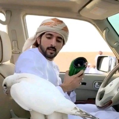 Prince Fazza