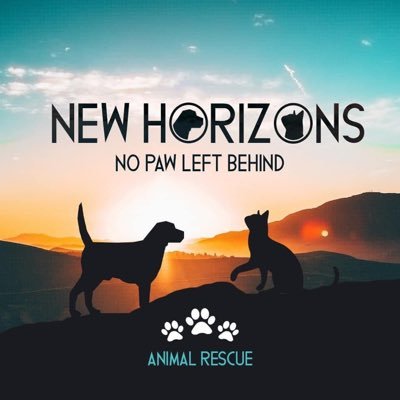 We are looking for a piece of land on Crete to start a animal shelter. We work together with Pawerful Rescue from Athens. Please support us!