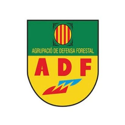 ADF173 Profile Picture