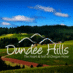 Dundee Hills Wine (@dundeehillswine) Twitter profile photo Dundee Hills Wine (@dundeehillswine) Twitter profile photo