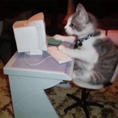 Software developer | data analysis