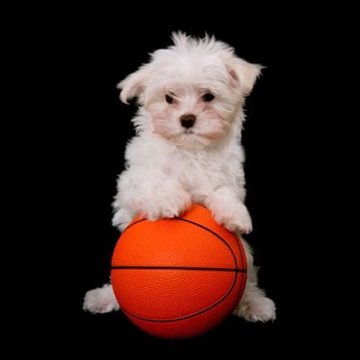 Mramba_Ke's profile picture. Educator ✏️ | Guiding minds to think, grow & create impact