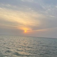 عائشة العقلاء (@aisha_al3gla) 's Twitter Profile