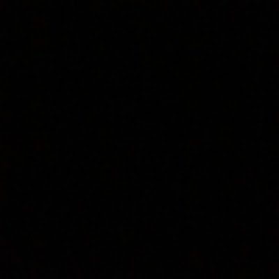 fakepalmtree6's profile picture. 