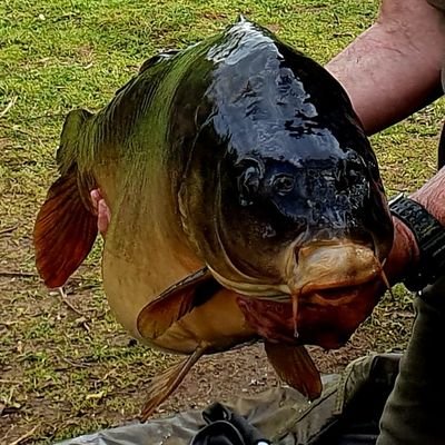 Bermondsey boy now living in Kent . Keen carp/Ex fly angler.Bruce Ashby rod collector. love my family, fishing and phone photography 📸