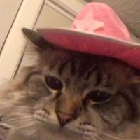 zalktis “yee haw” viesturs (@pusmiris) 's Twitter Profile
