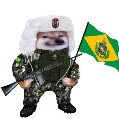 Bolsonitro here! | Brazilian 🇧🇷 | Bitcoiner | Catholic | Conservative with anarcho-capitalist tendencies | Dev Fullstack and Self-taught economist