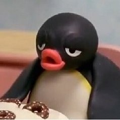 PretentiousPlum's profile picture. NOOT! NOOT!
