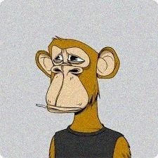 RosieBird348225's profile picture. 